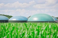 Biometano e biocarburanti avanzati: nuovo portale per le richieste di qualifica